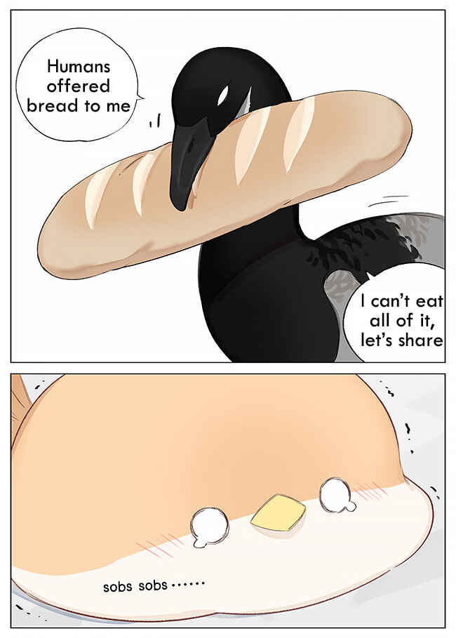 Chapter 2 - Page 6