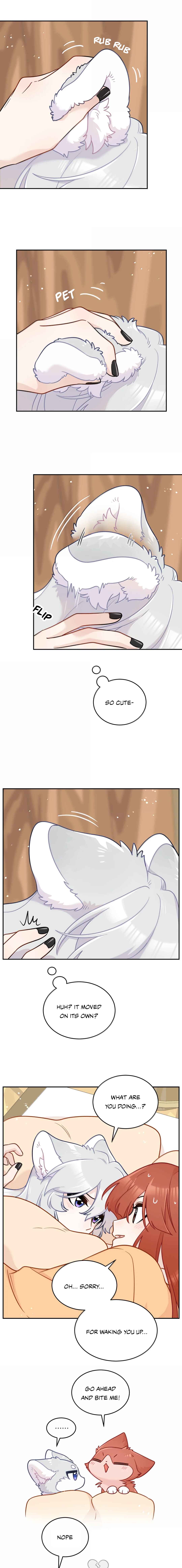 Chapter 223.6 - Page 3