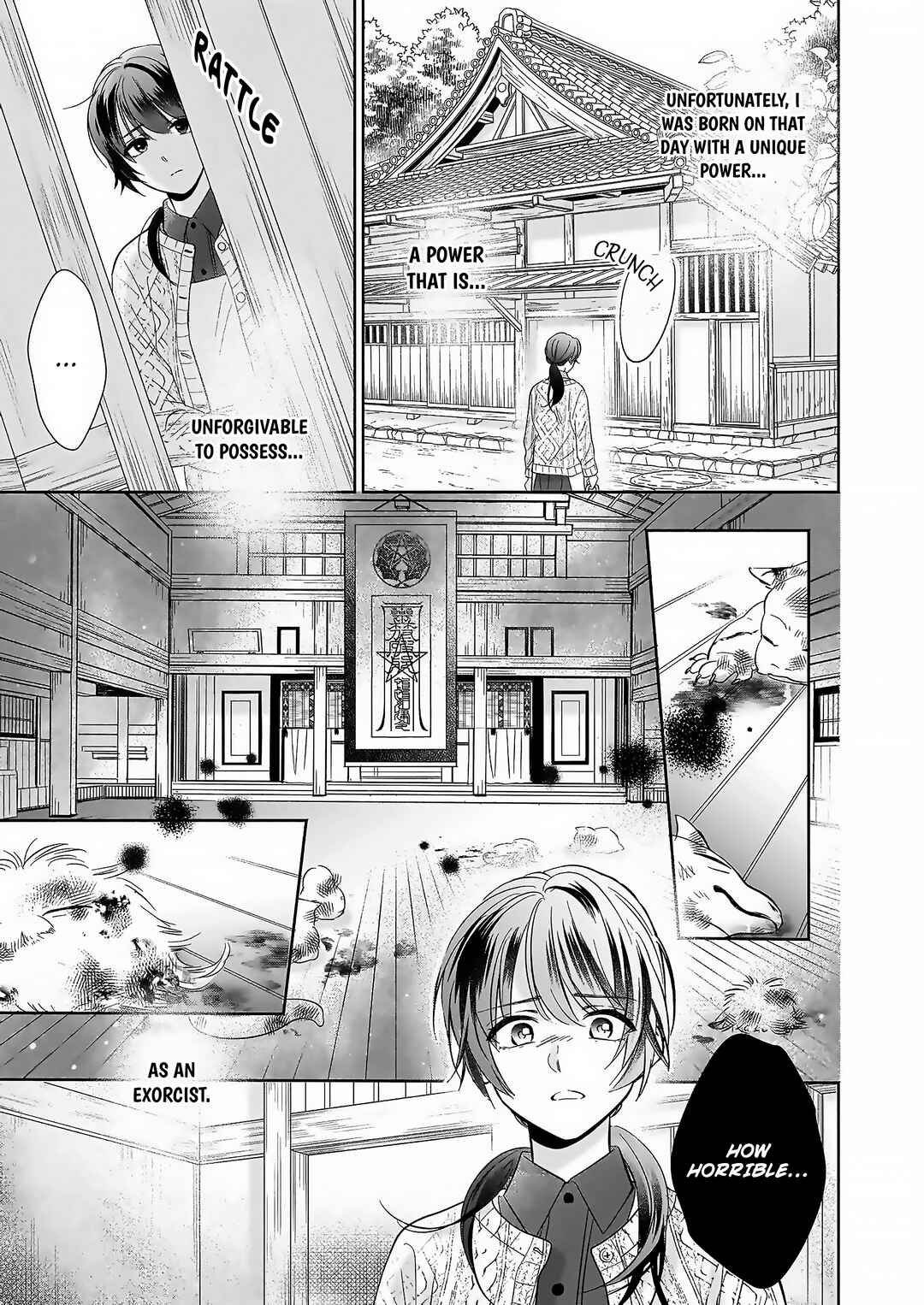Chapter 1.1 - Page 13