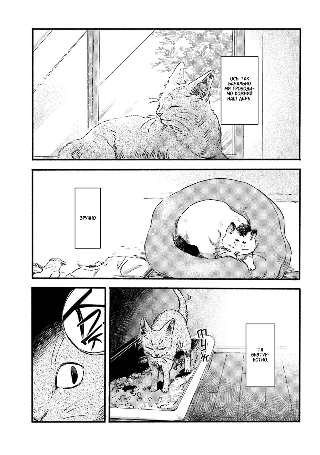 Chapter 1 - Page 5