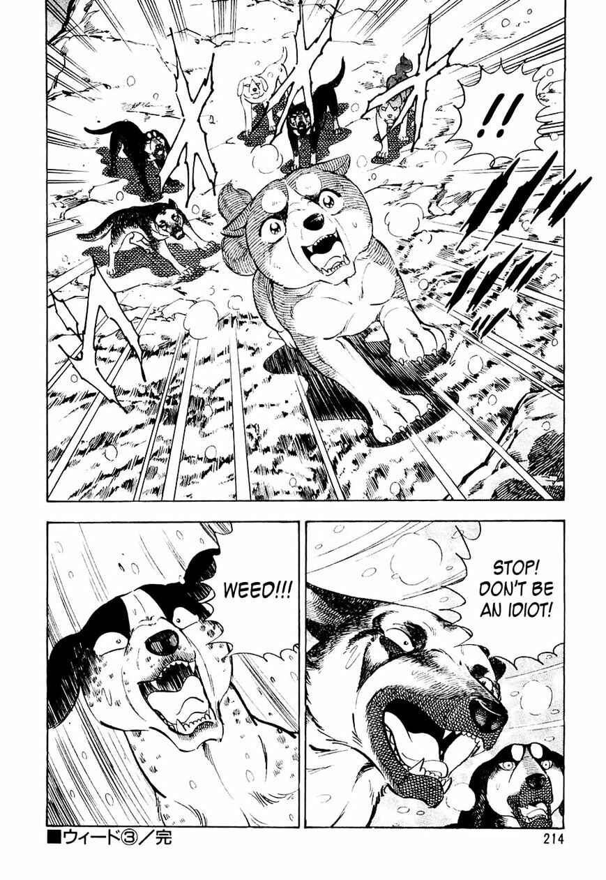 Chapter 30 - Page 21
