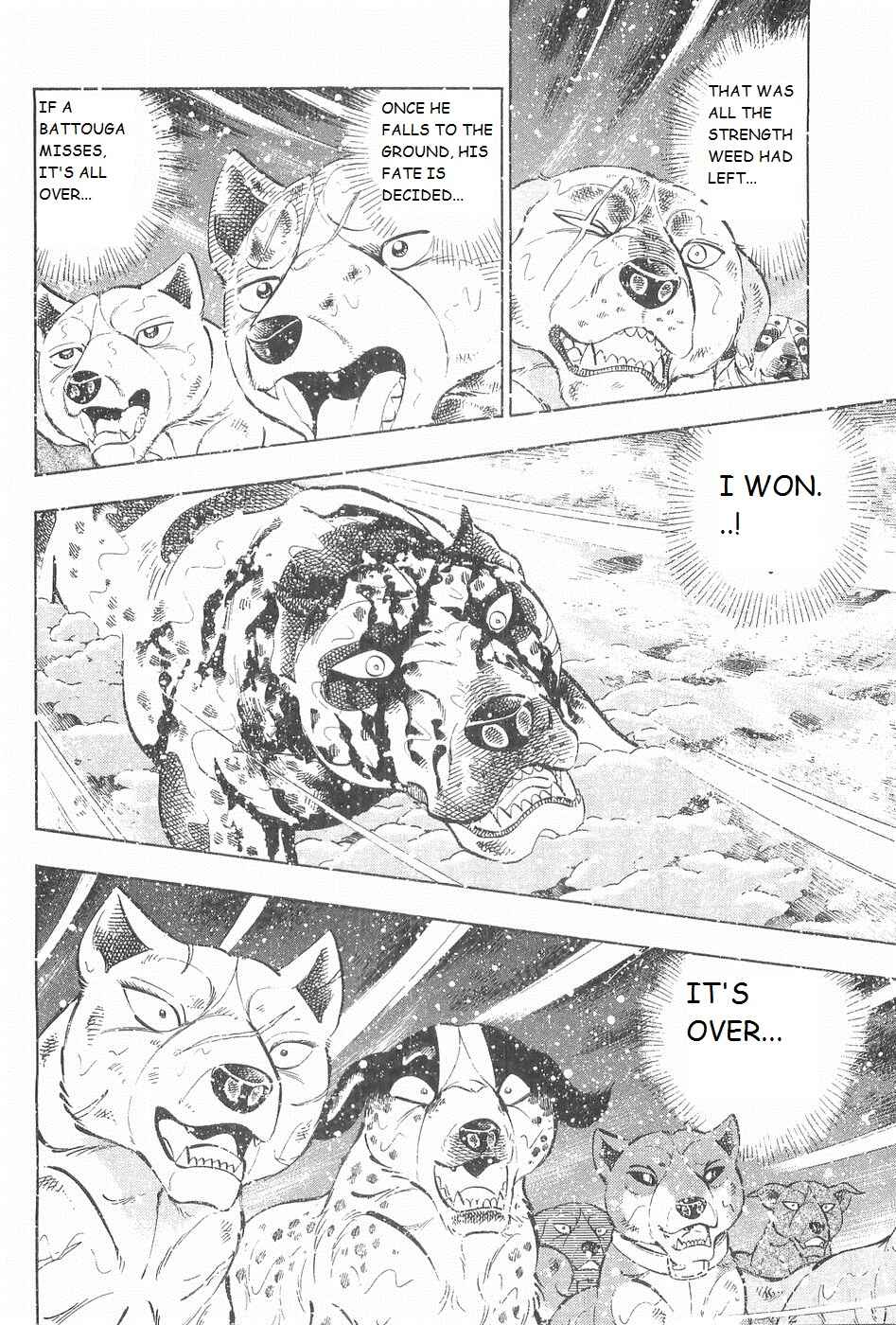 Chapter 250 - Page 8