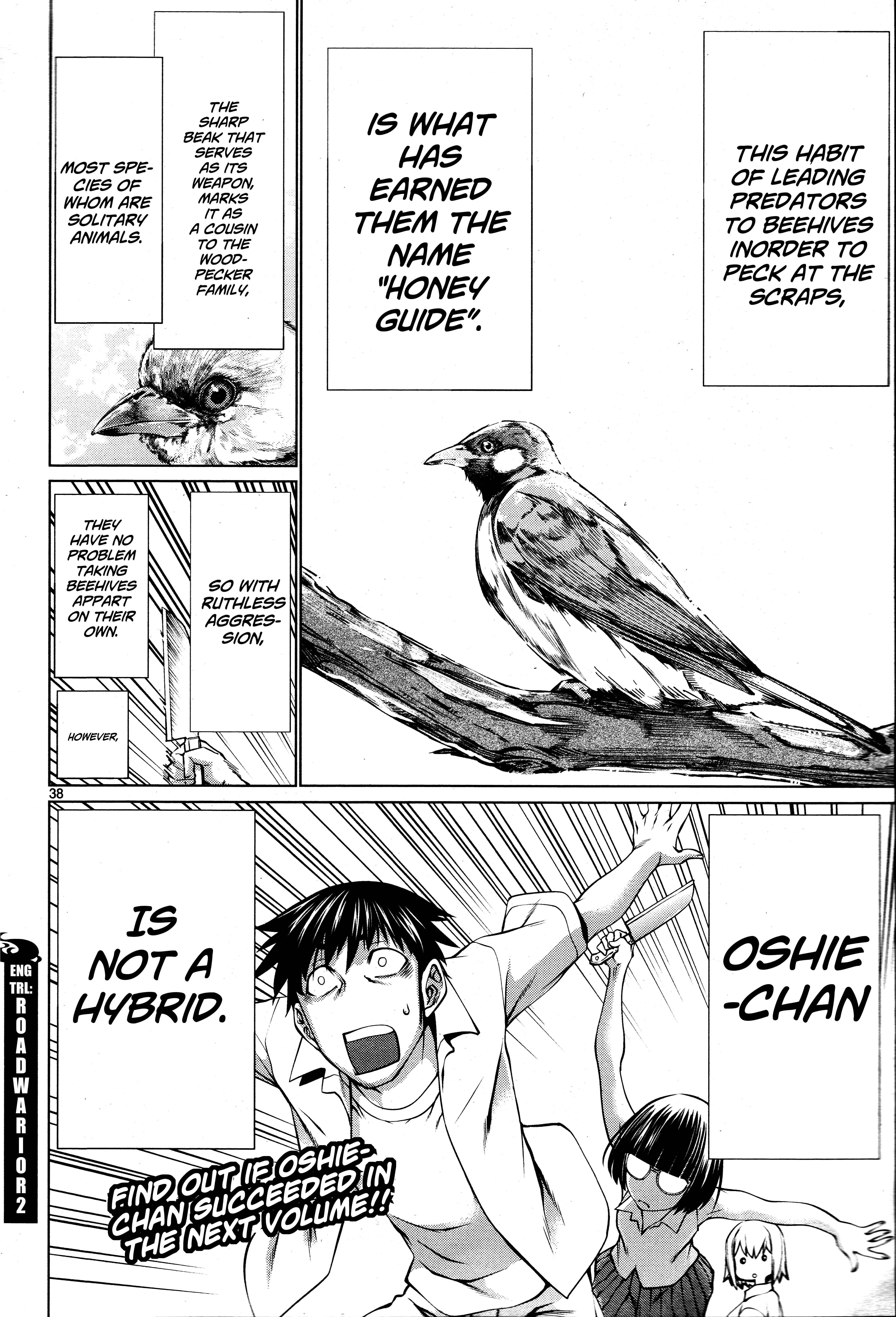 Chapter 69 - Page 37