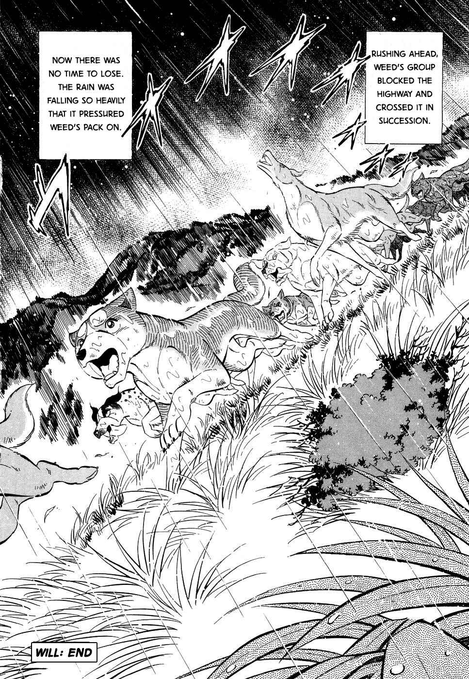Chapter 384 - Page 21