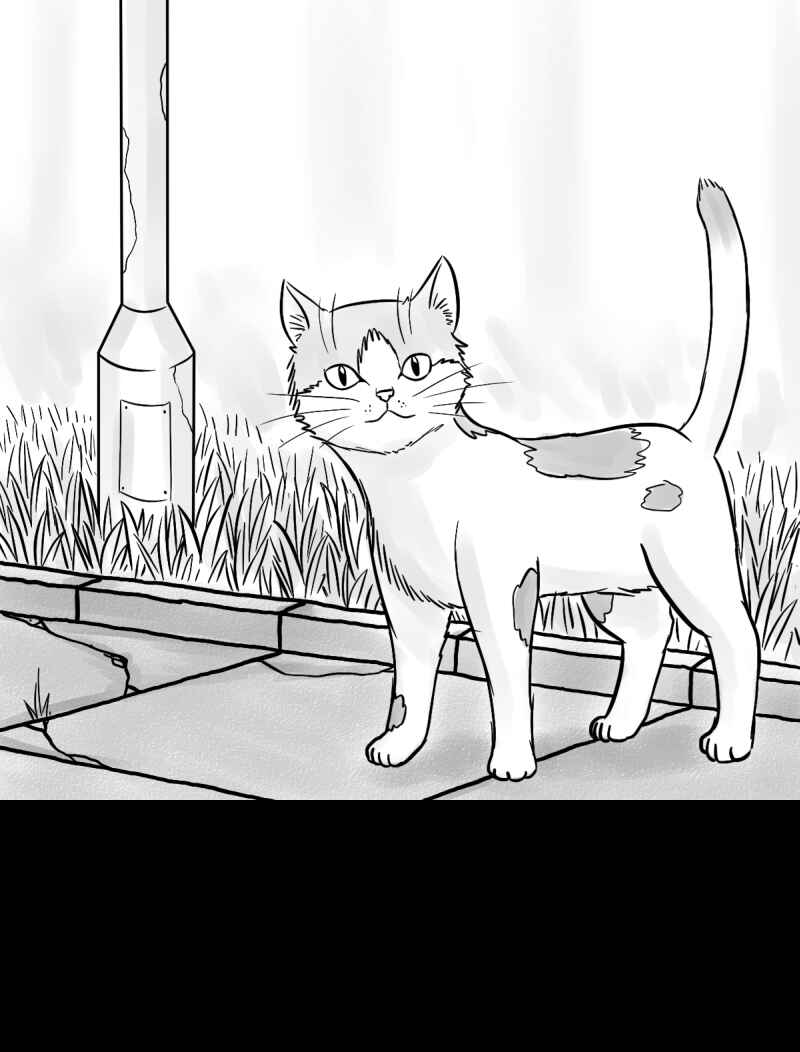 Chapter 14 - Page 13