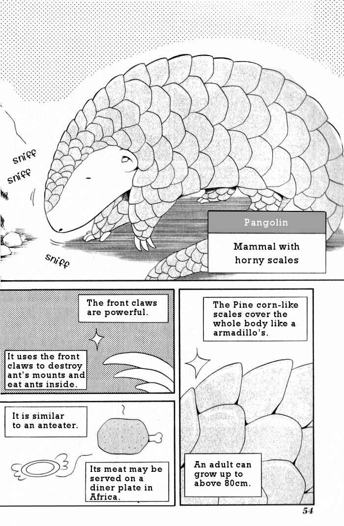 Chapter 13 - Page 8