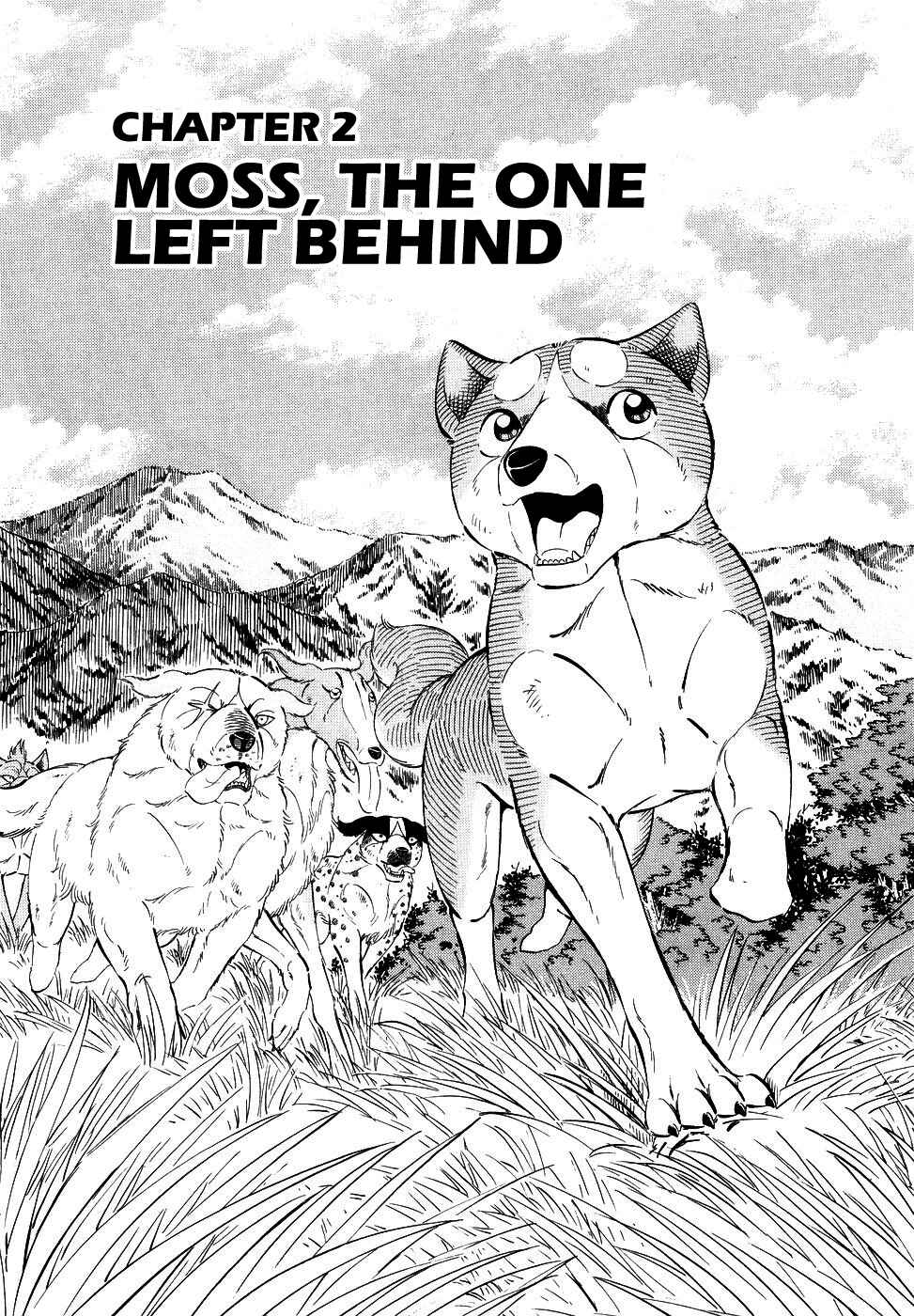 Chapter 373 - Page 1