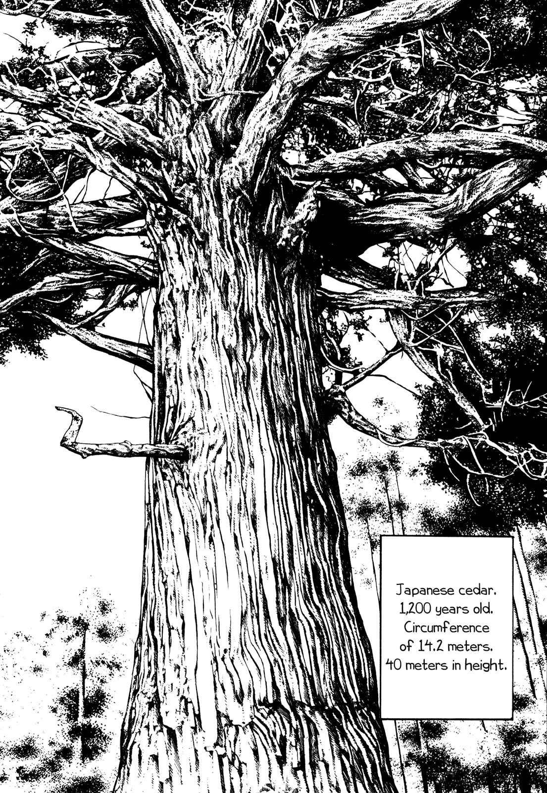 Chapter 232 - Page 2