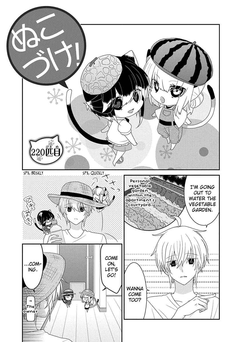 Chapter 220 - Page 2