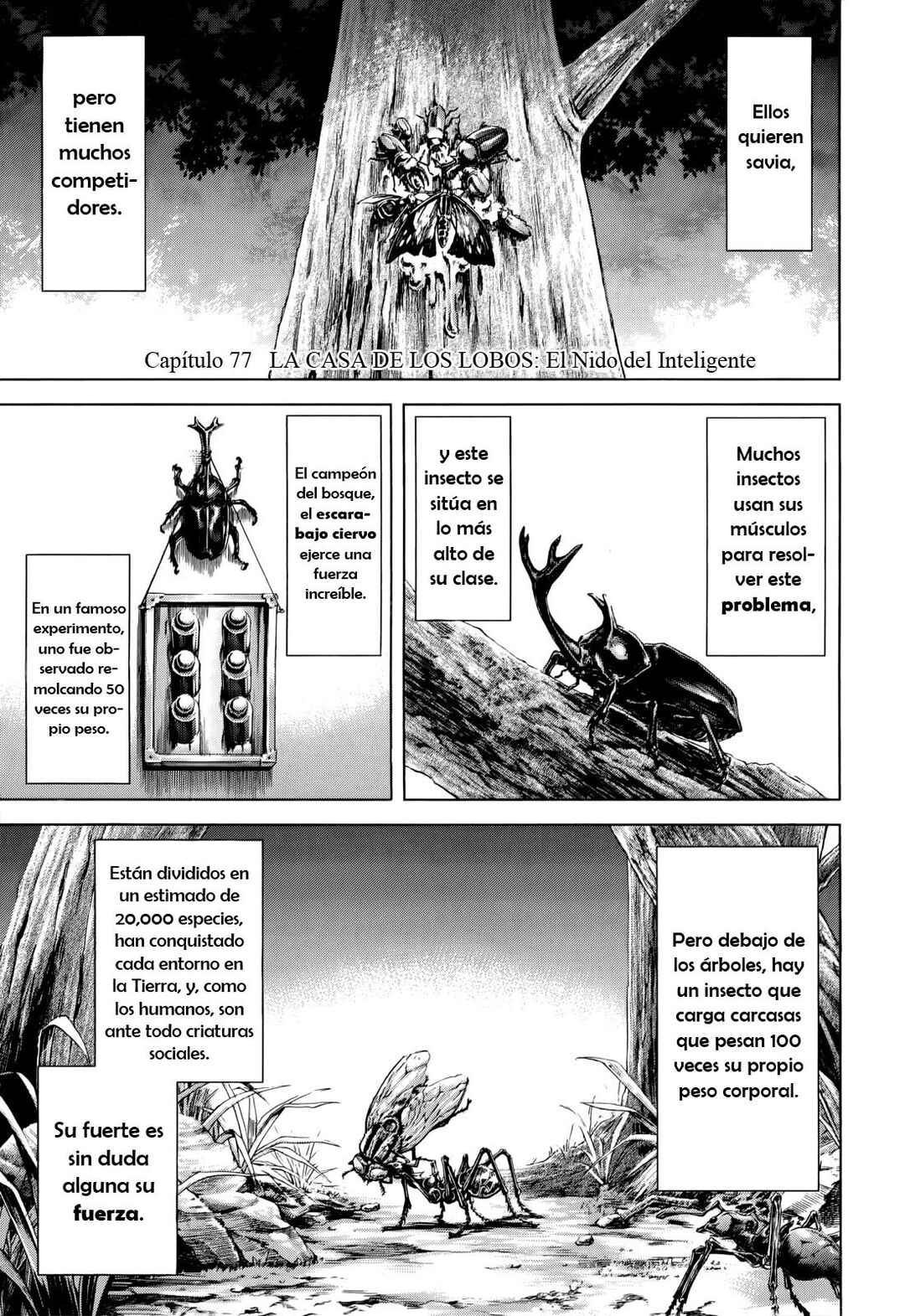 Chapter 77 - Page 2