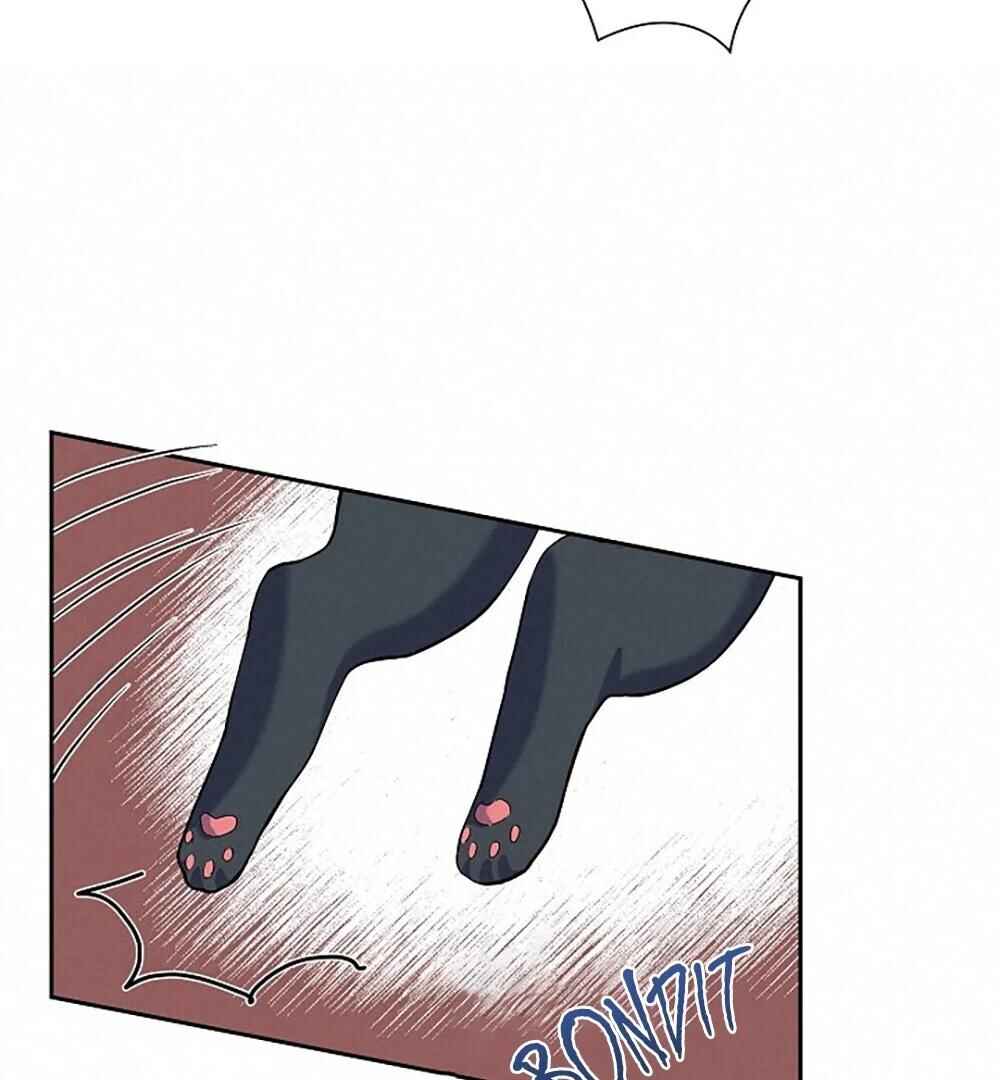 Chapter 3 - Page 48