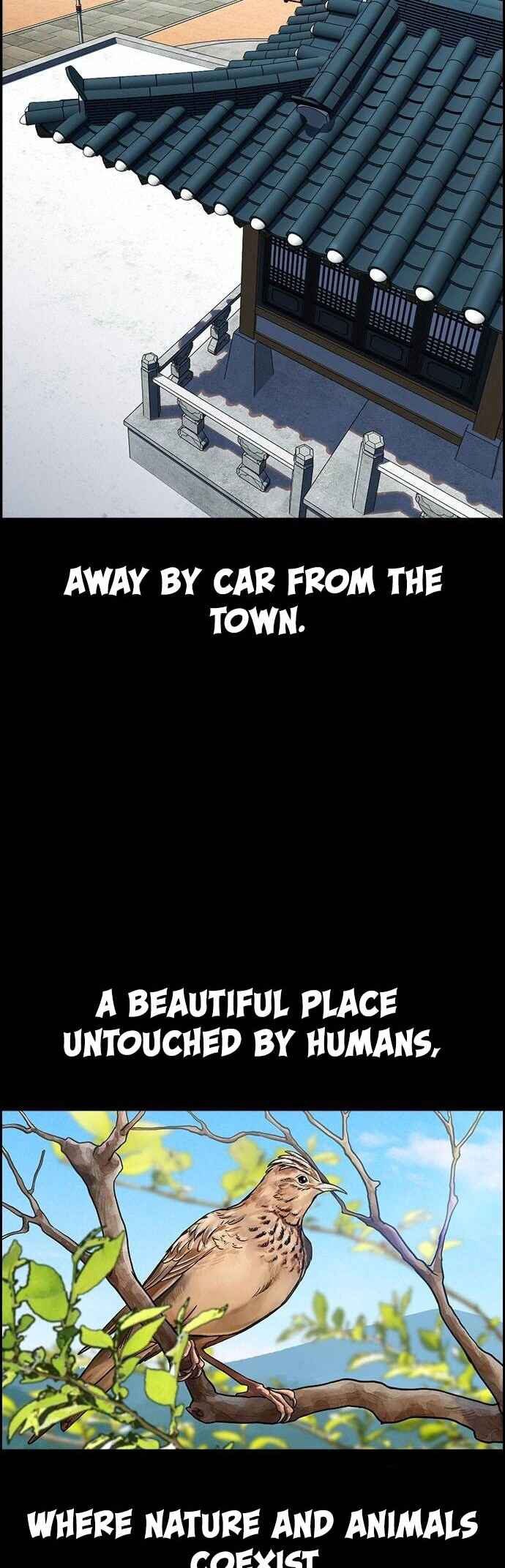 Chapter 132 - Page 13