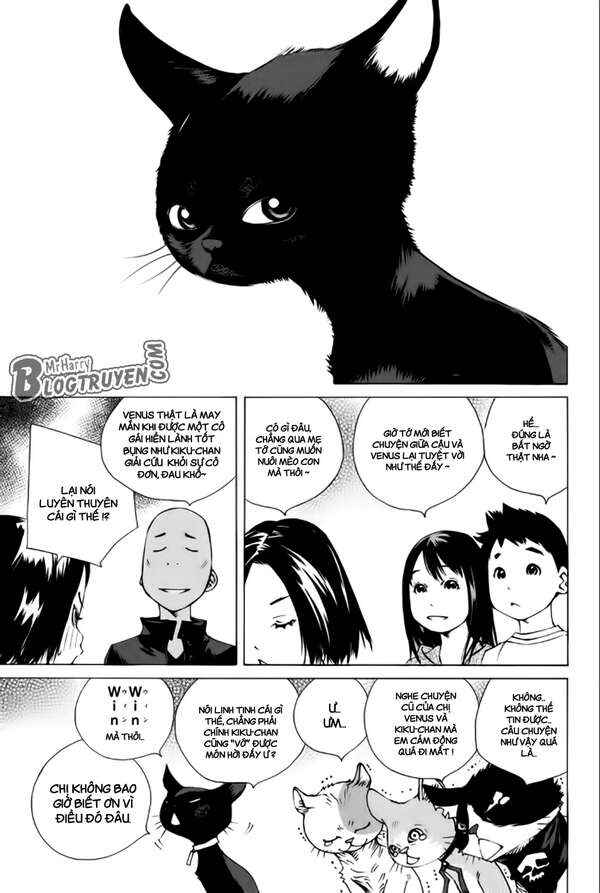 Chapter 176 - Page 22