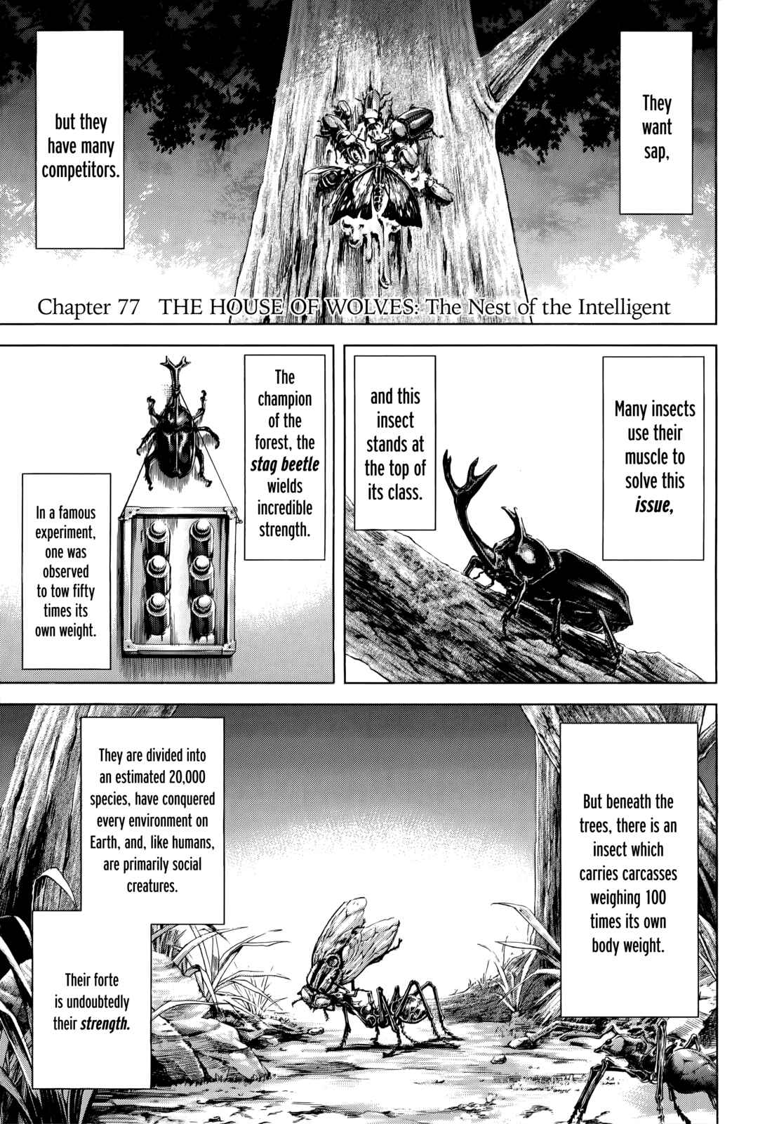 Chapter 77 - Page 1