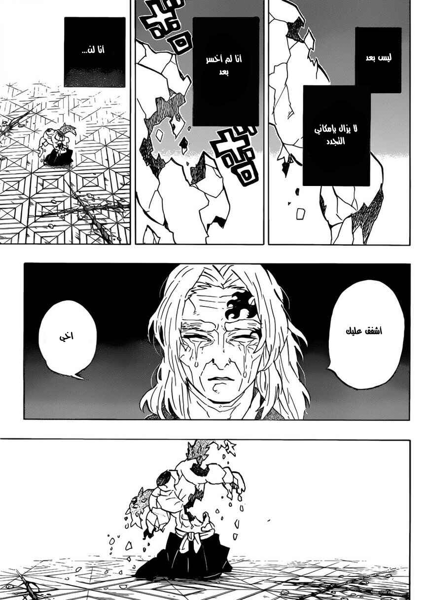 Chapter 176 - Page 17