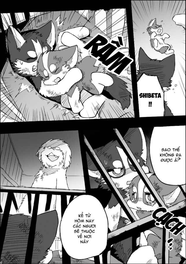 Chapter 5 - Page 11
