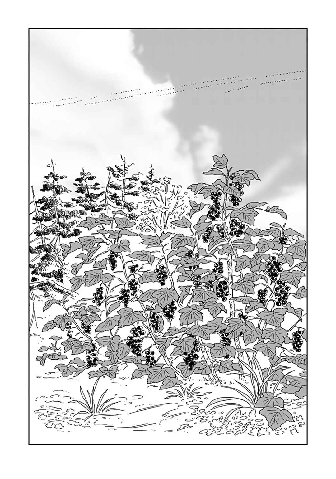 Chapter 88 - Page 1