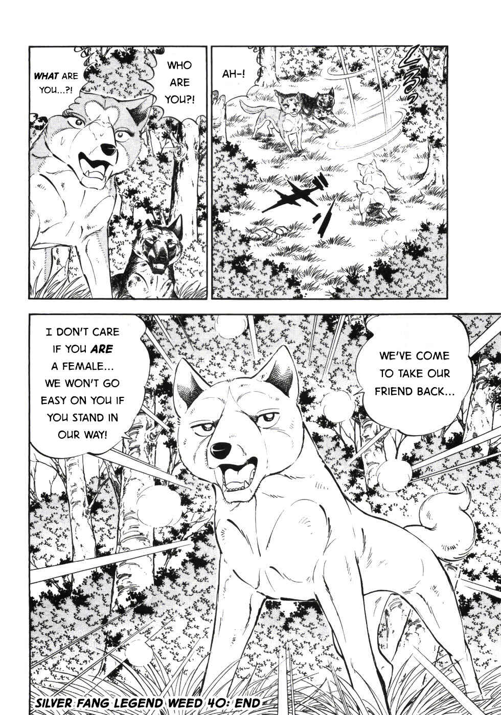 Chapter 339 - Page 21