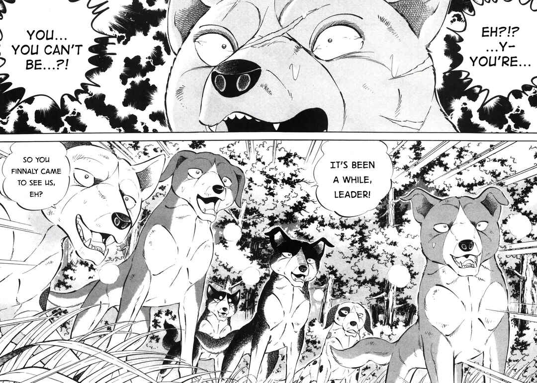 Chapter 339 - Page 5