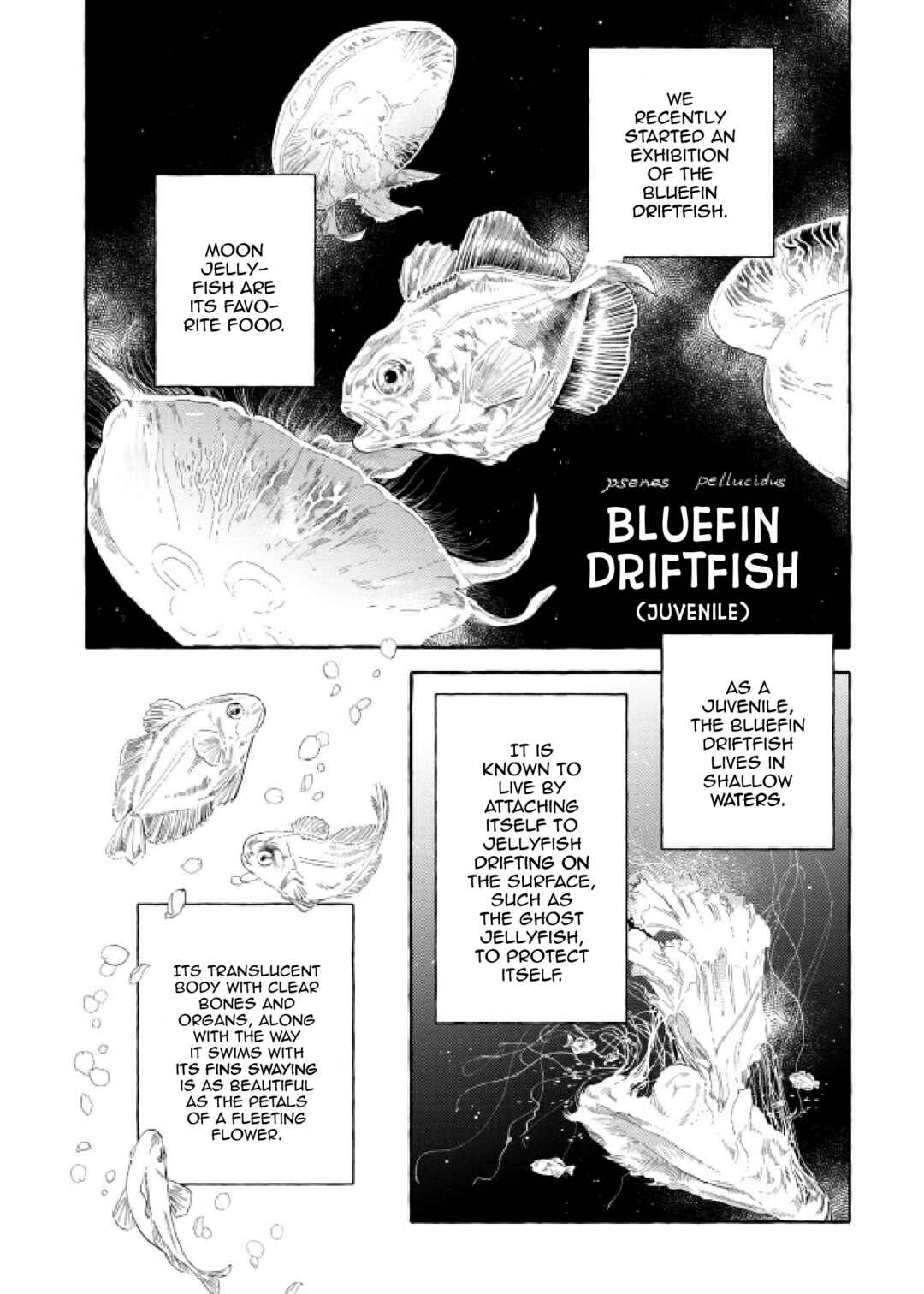 Chapter 48 - Page 19