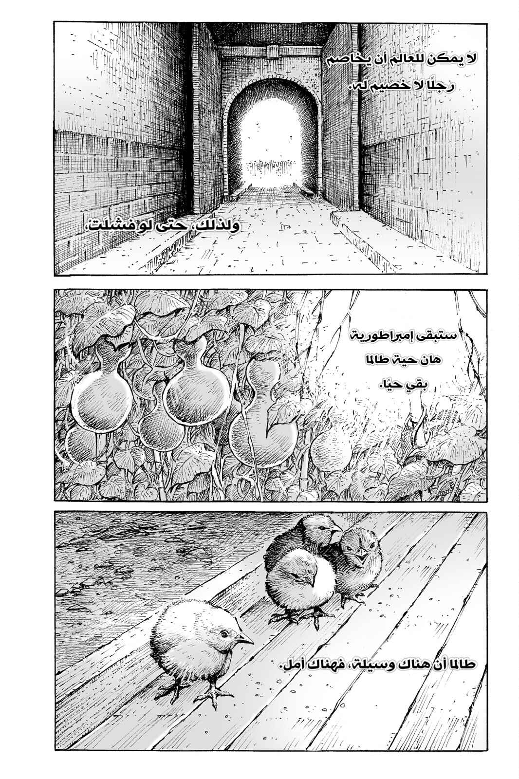 Chapter 558 - Page 17