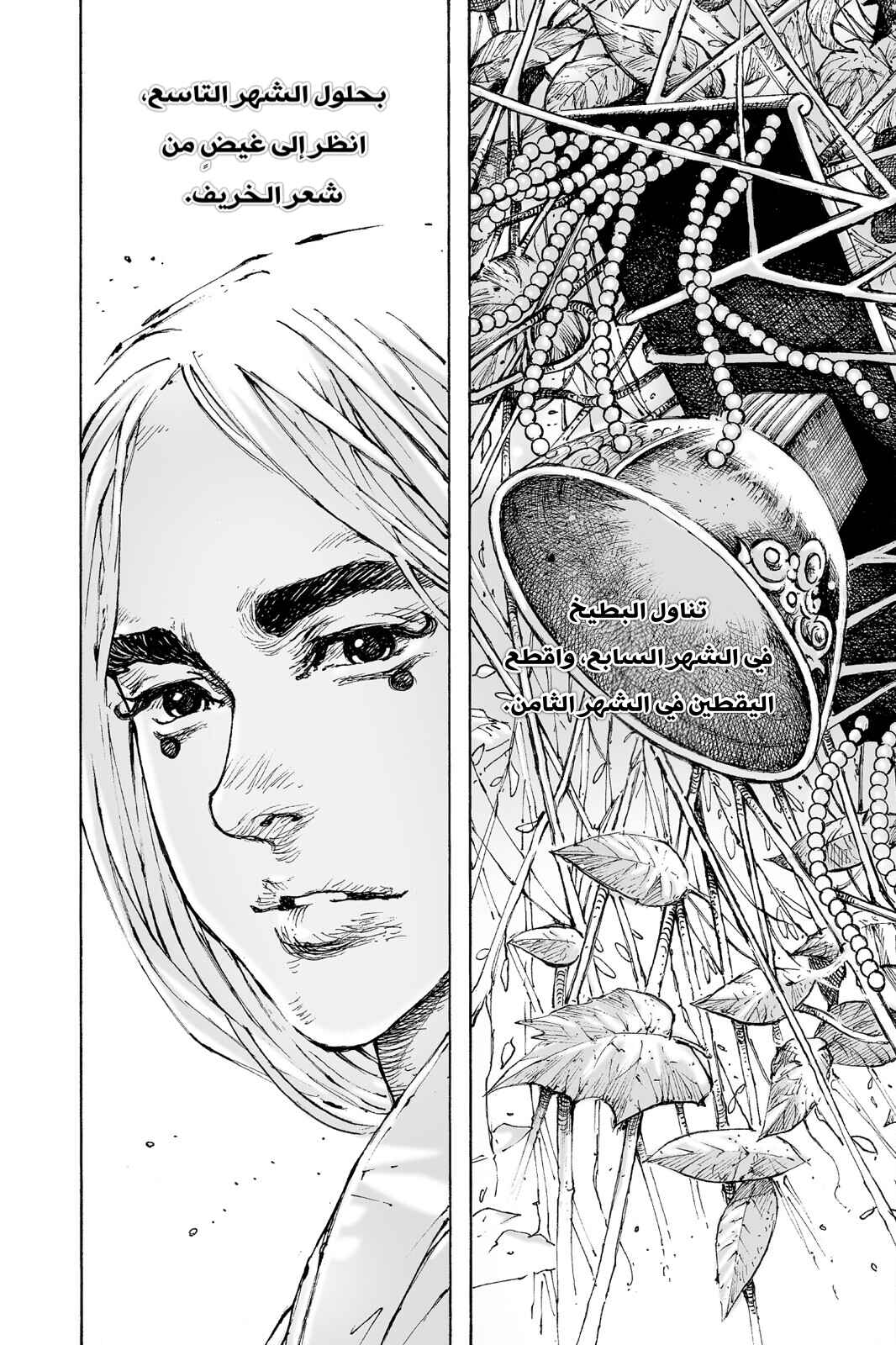Chapter 558 - Page 19