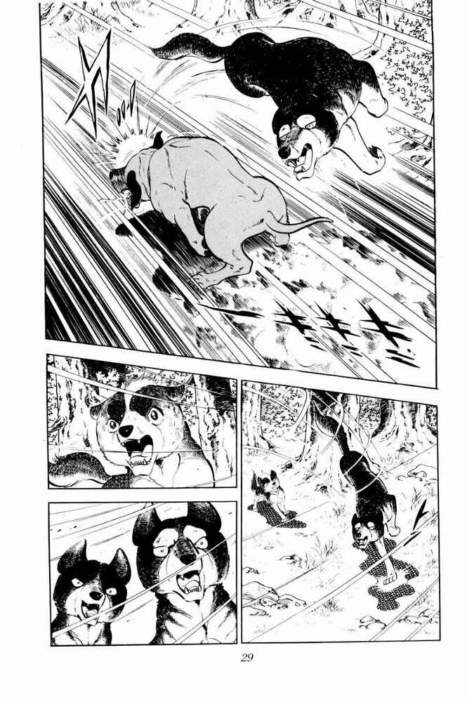 Chapter 31 - Page 29