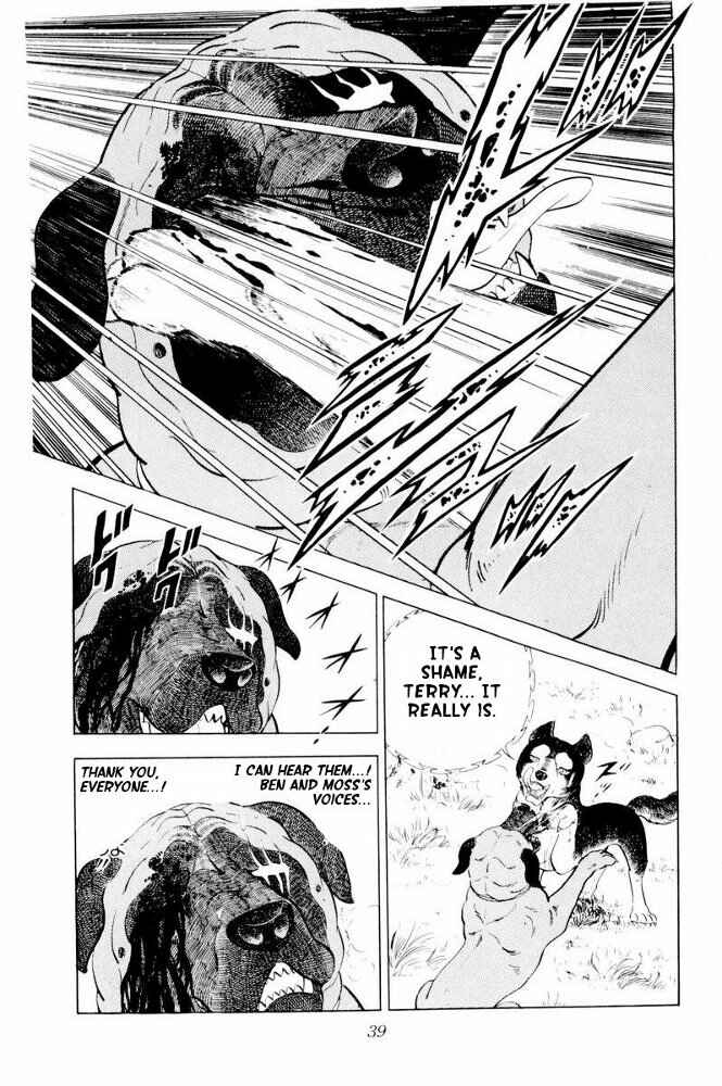 Chapter 31 - Page 39