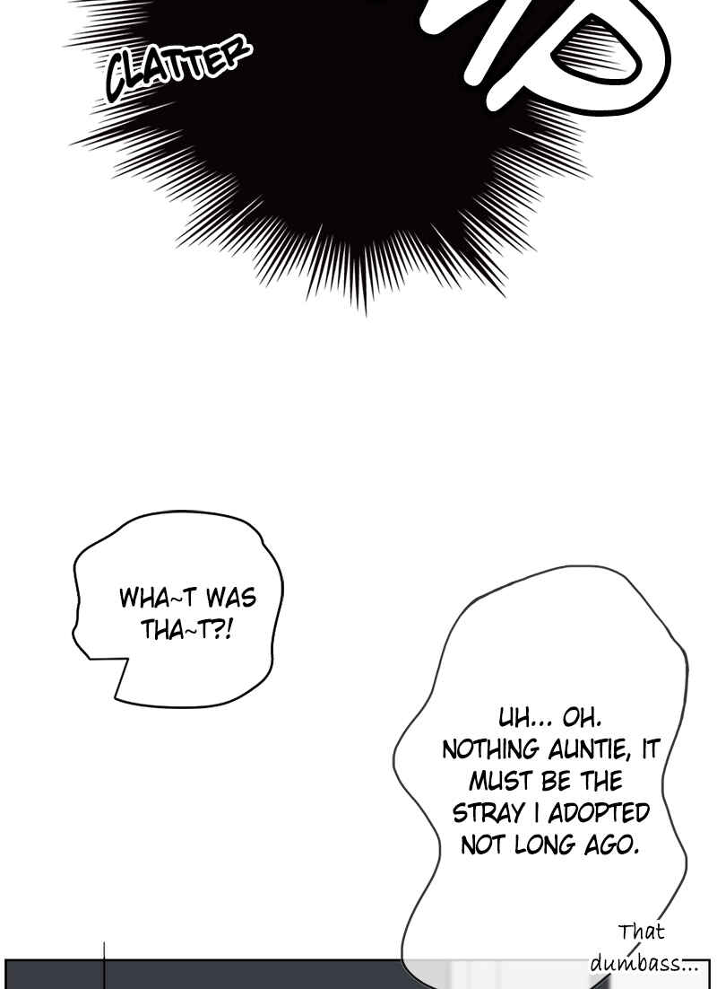 Chapter 3 - Page 36