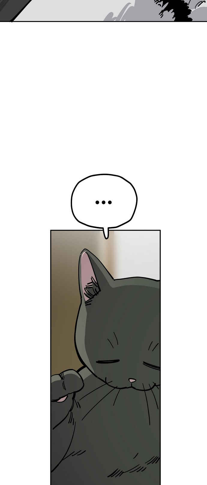 Chapter 114 - Page 50