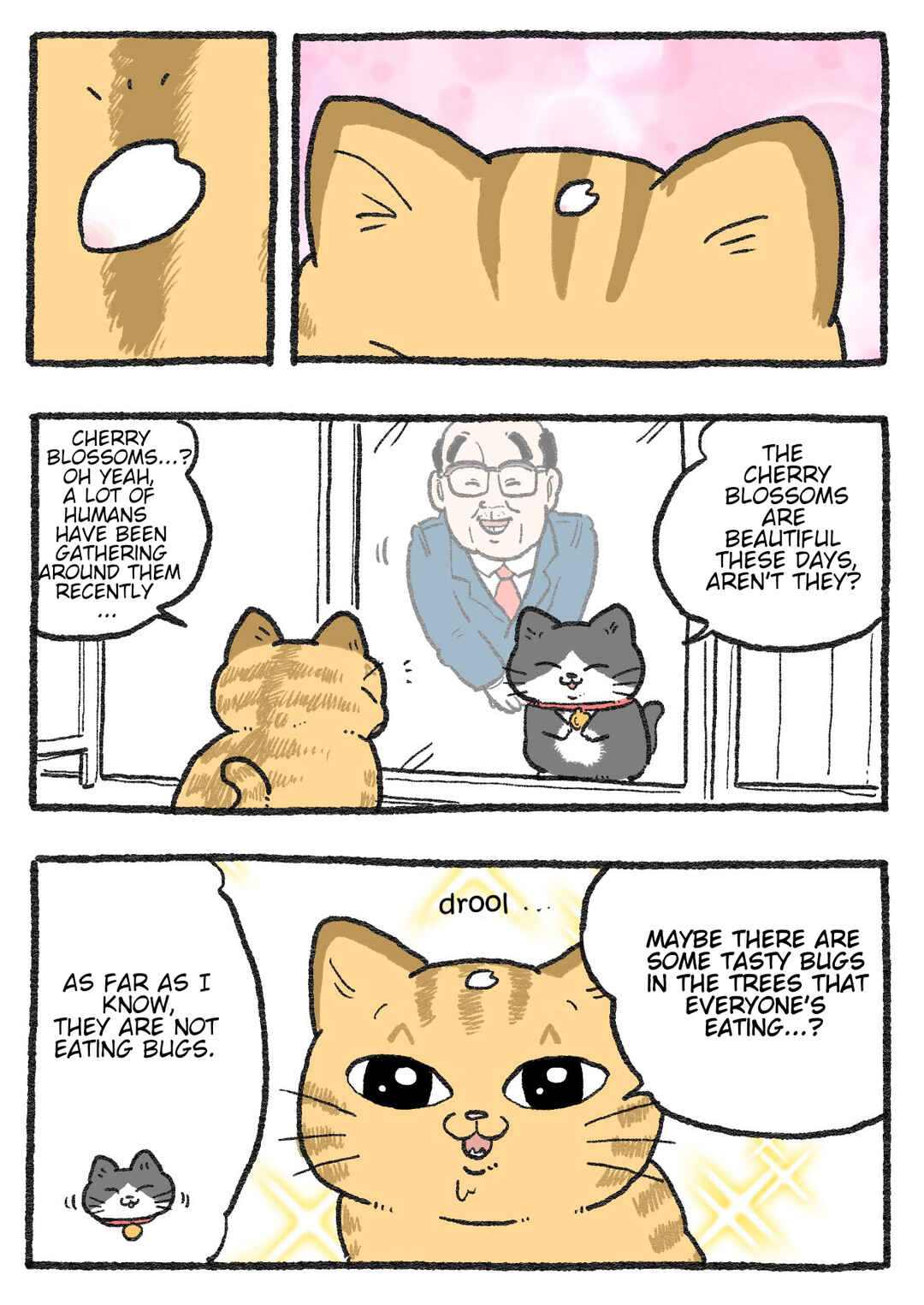 Chapter 430 - Page 2