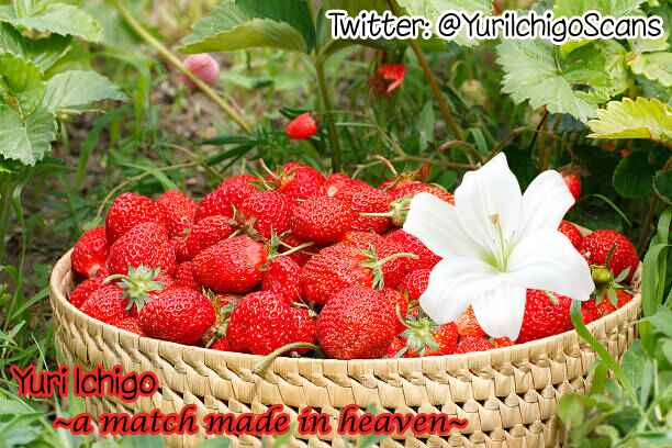Chapter 70 - Page 5