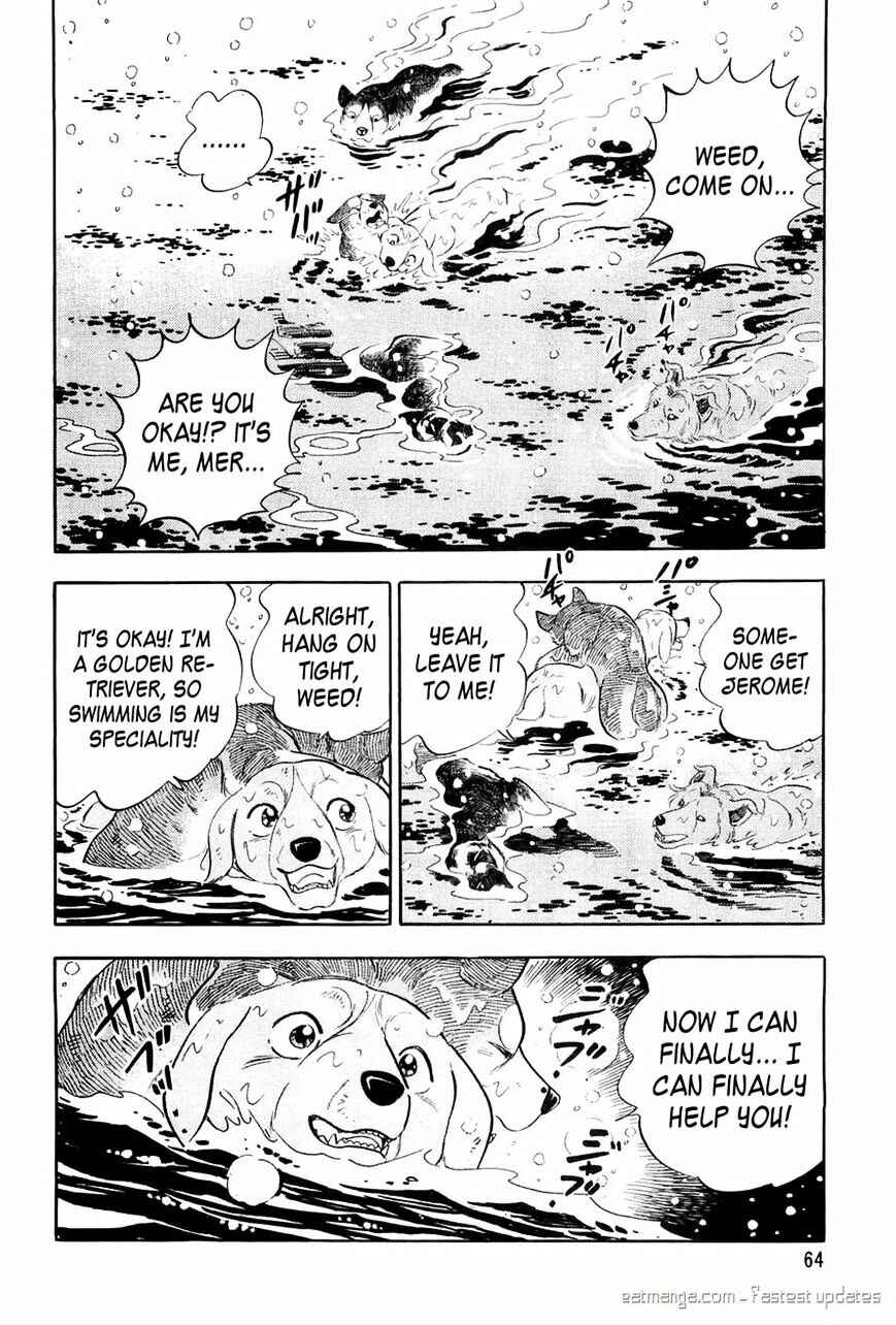 Chapter 51 - Page 16