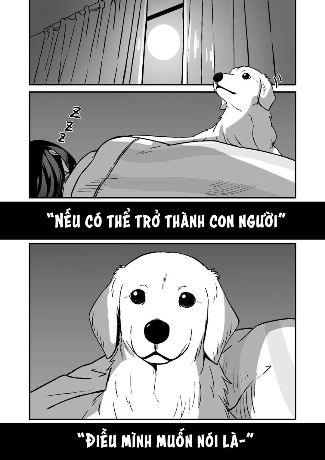 Chapter 1 - Page 2