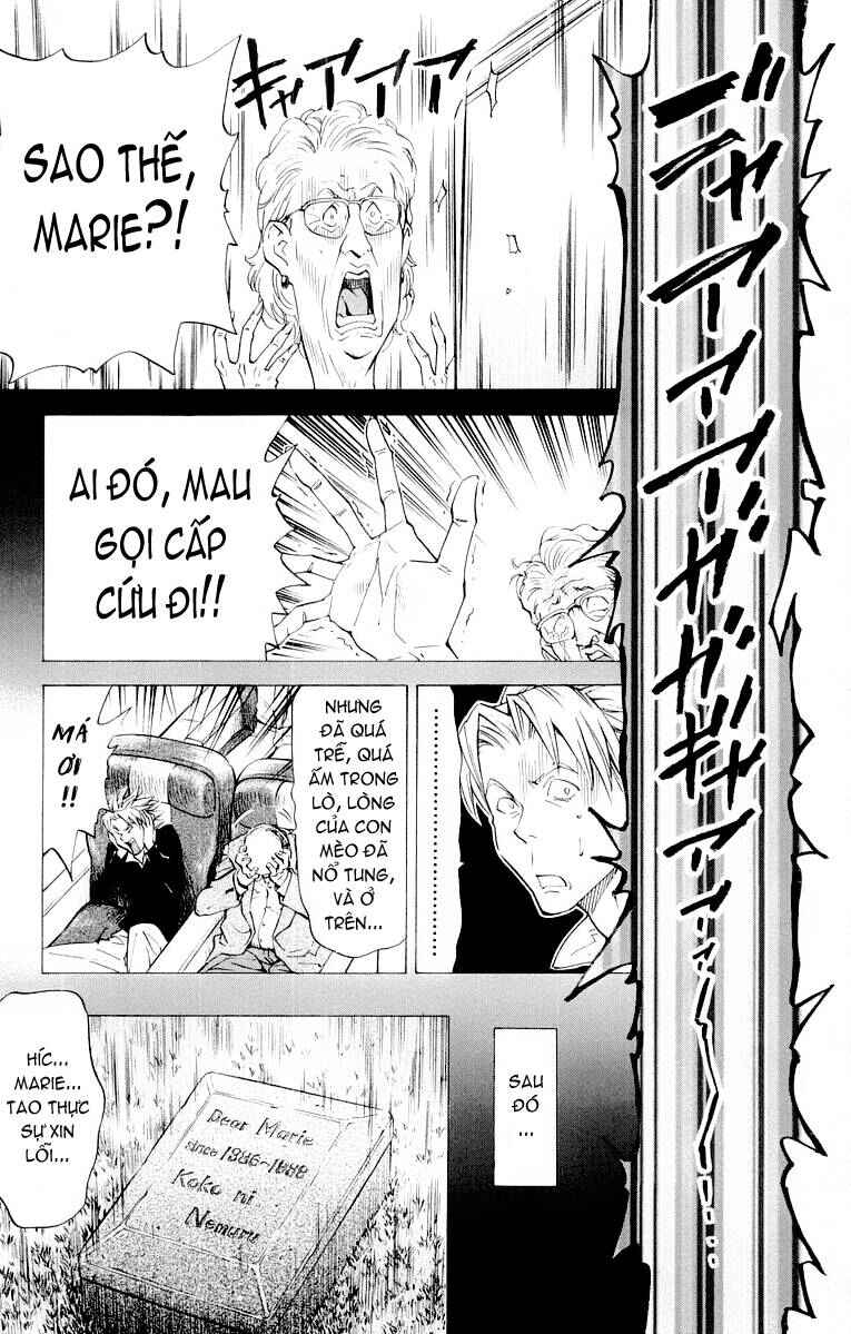 Chapter 72 - Page 13
