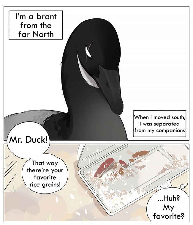 Chapter 4 - Page 1