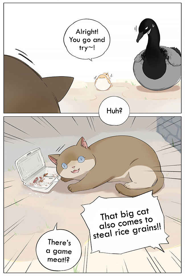 Chapter 4 - Page 4