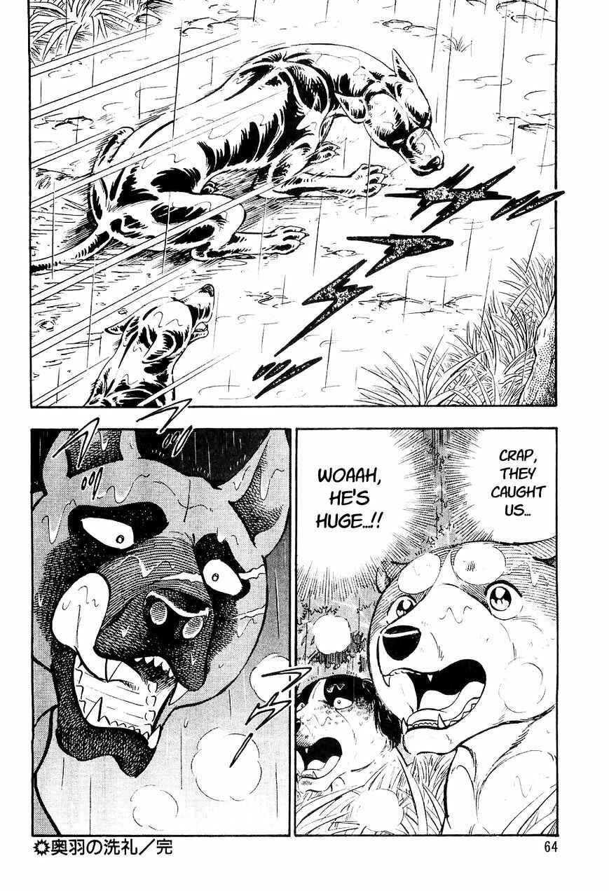 Chapter 13 - Page 21
