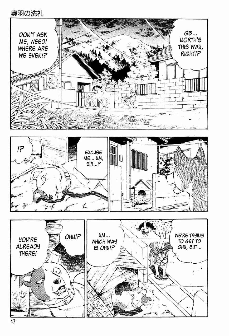 Chapter 13 - Page 4