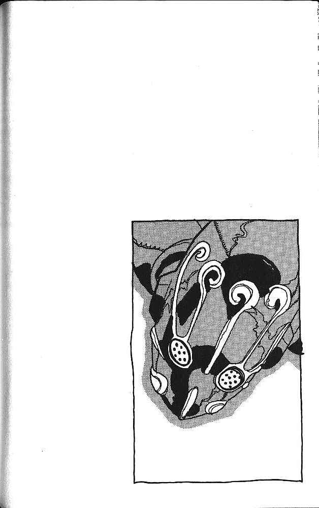 Chapter 141 - Page 20