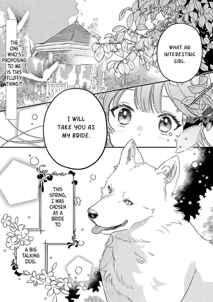 Chapter 1.1 - Page 1