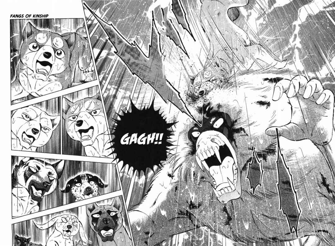 Chapter 295 - Page 14