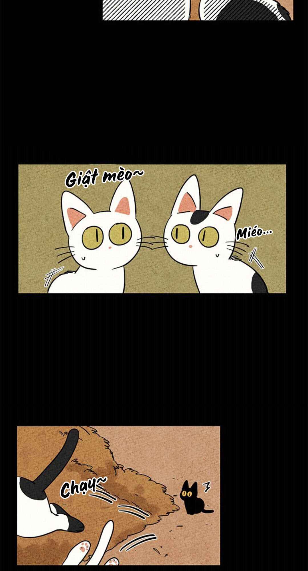 Chapter 2 - Page 19