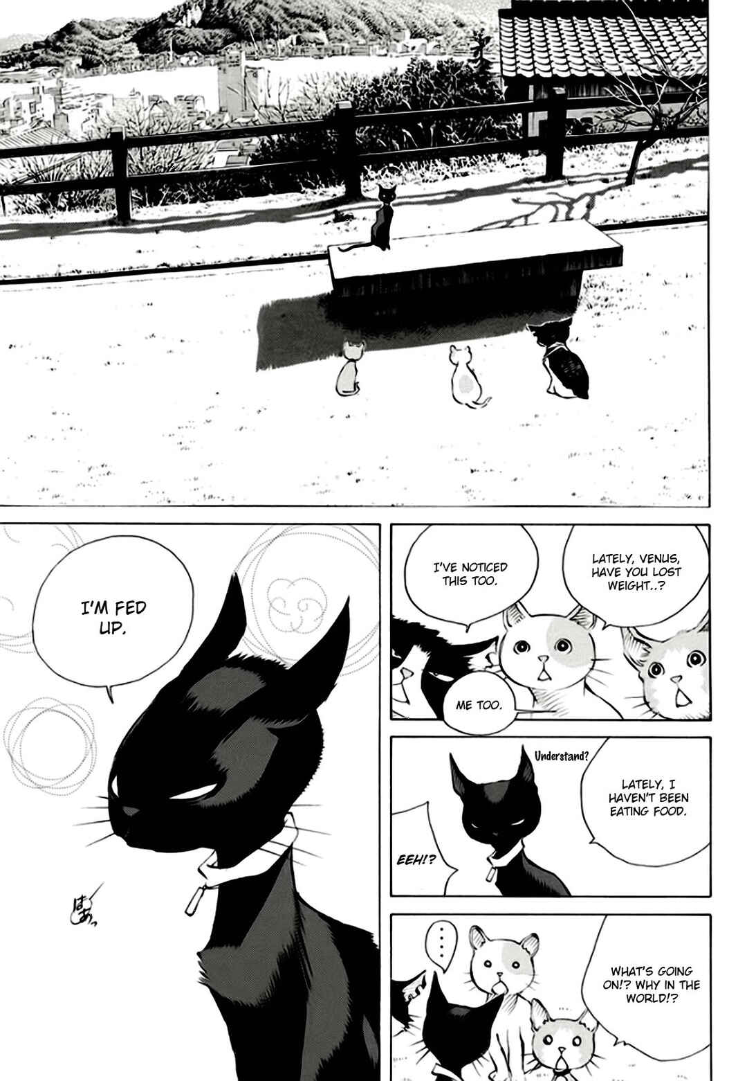 Chapter 162 - Page 19