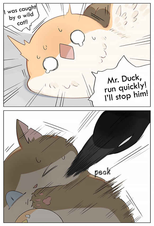 Chapter 1 - Page 4