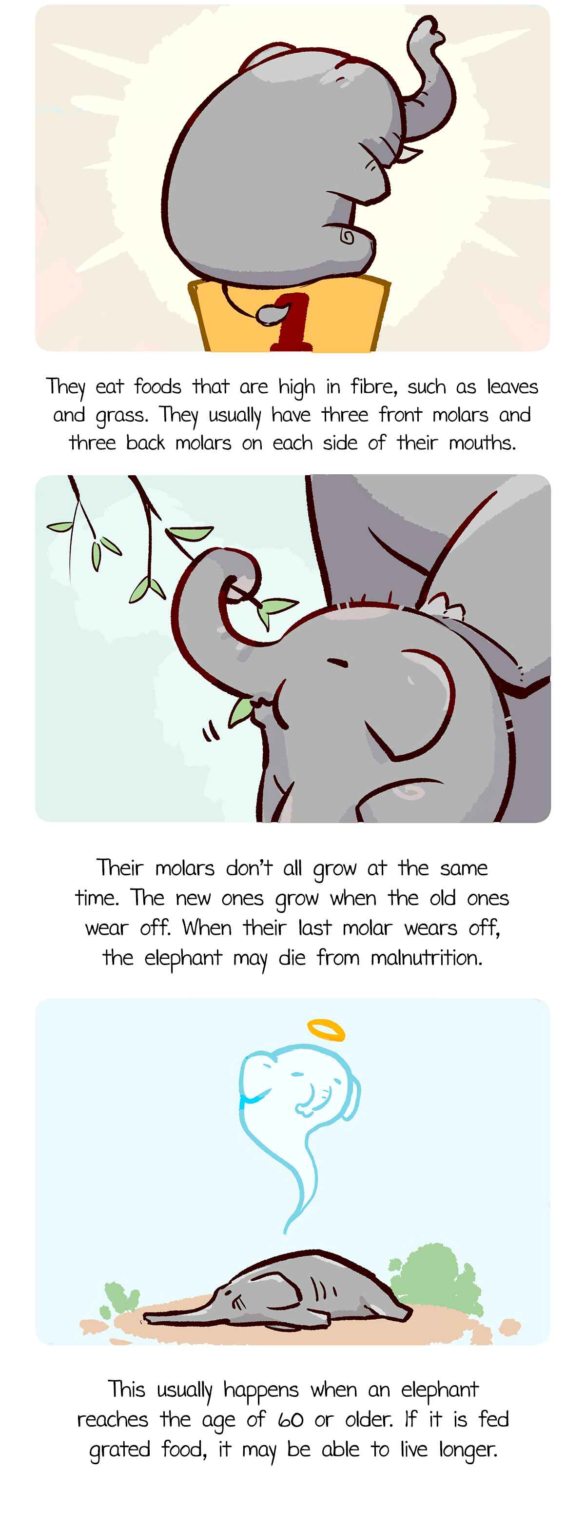 Chapter 5 - Page 8