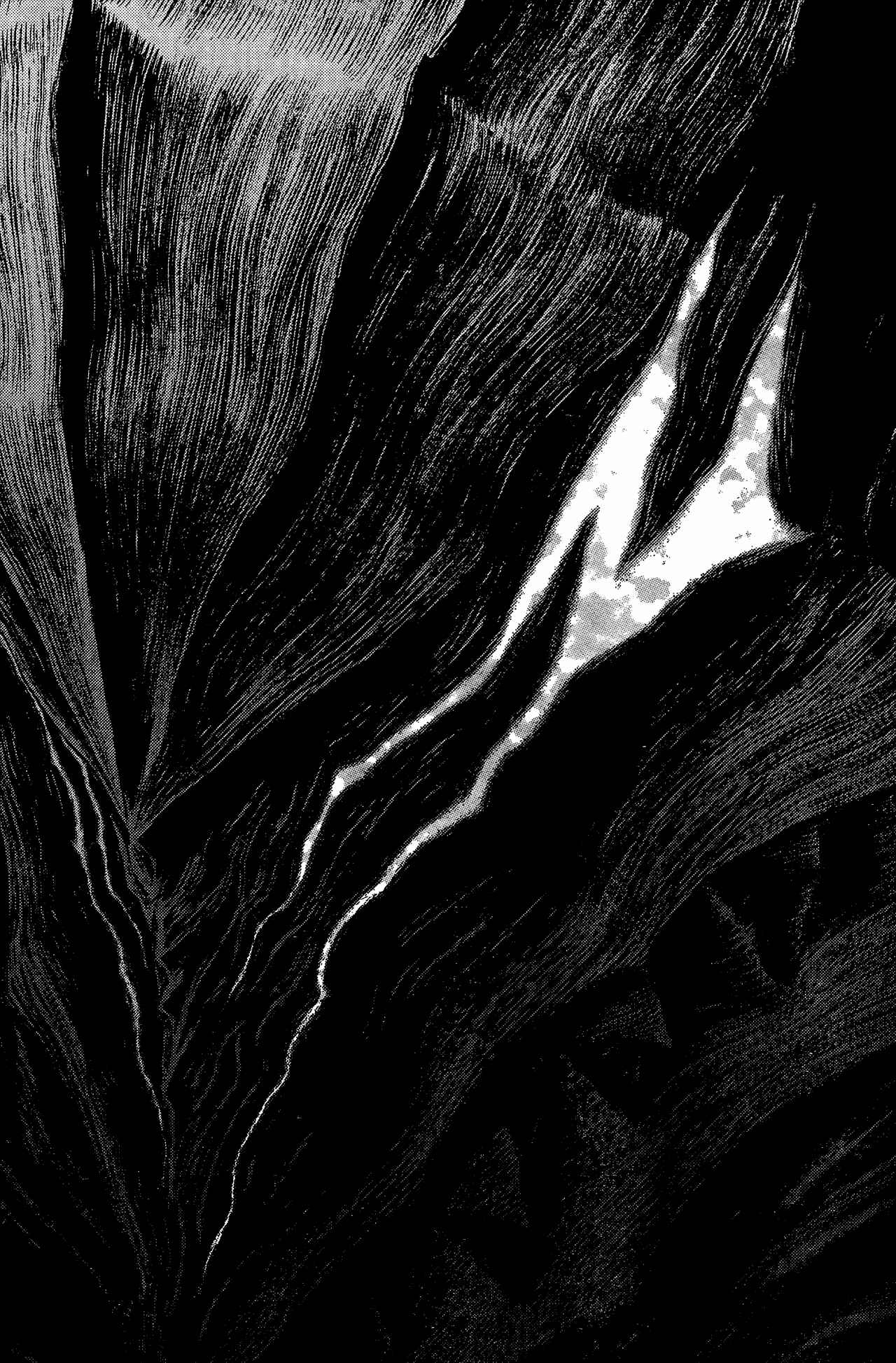 Chapter 315 - Page 9