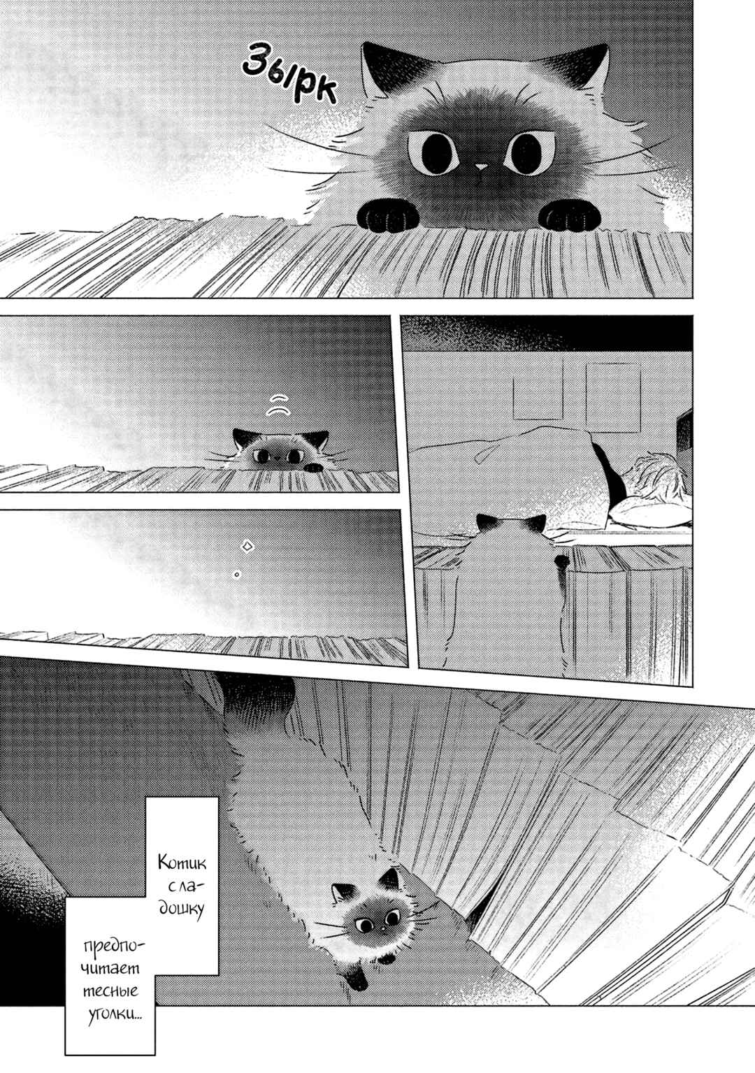Chapter 2 - Page 3