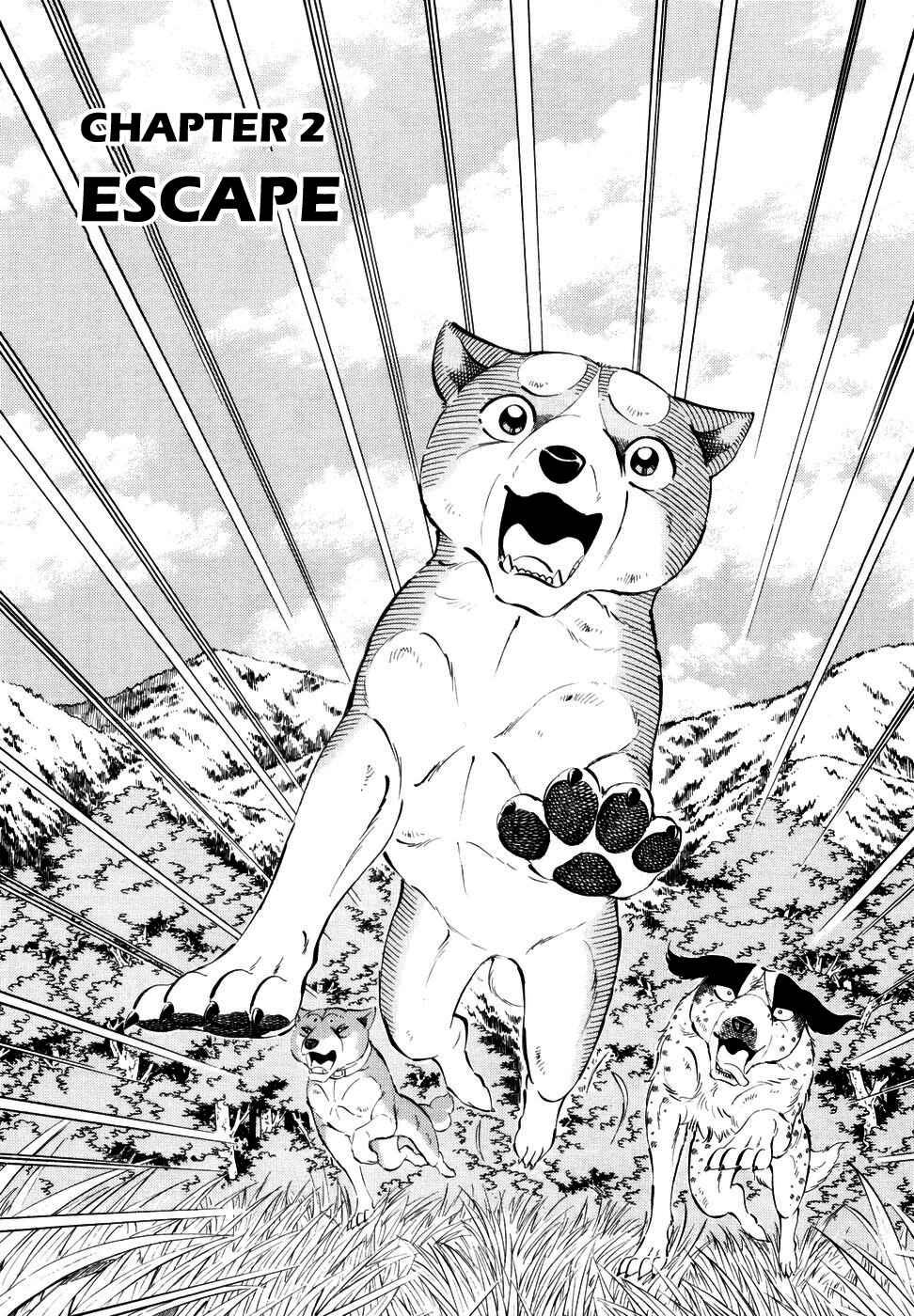 Chapter 349 - Page 1