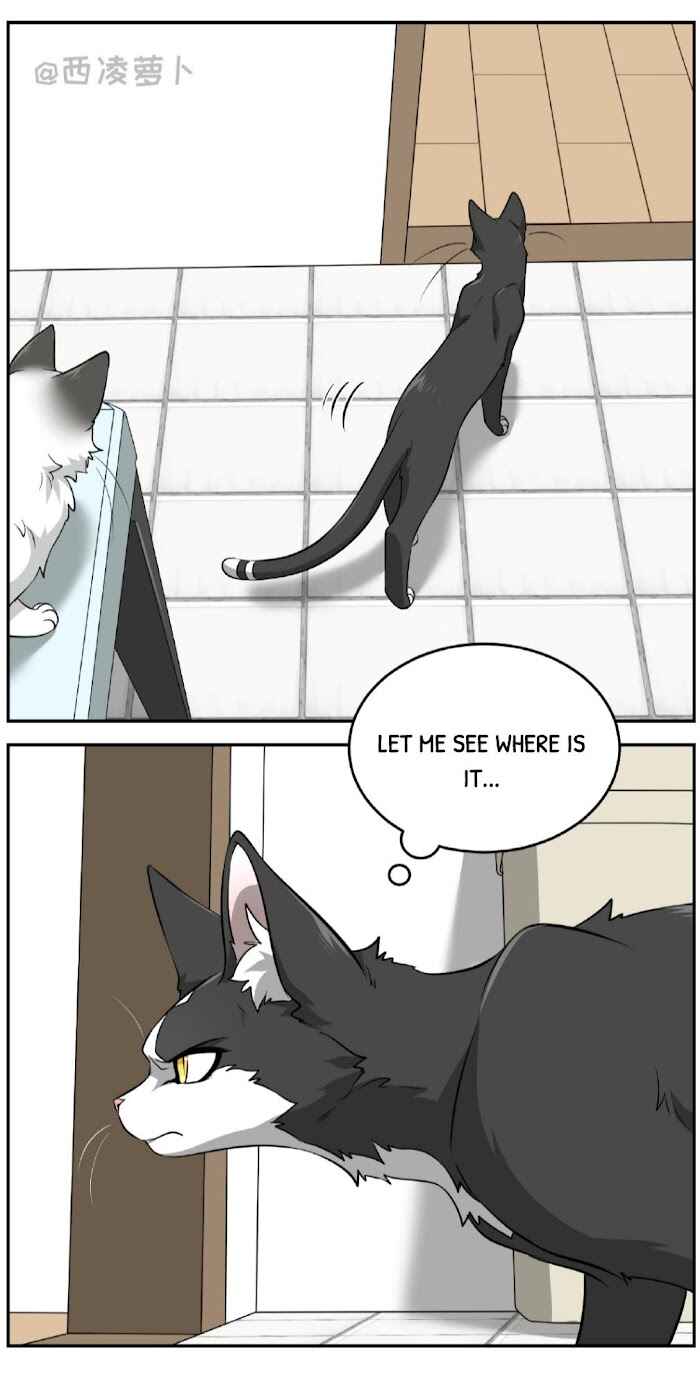 Chapter 7 - Page 6